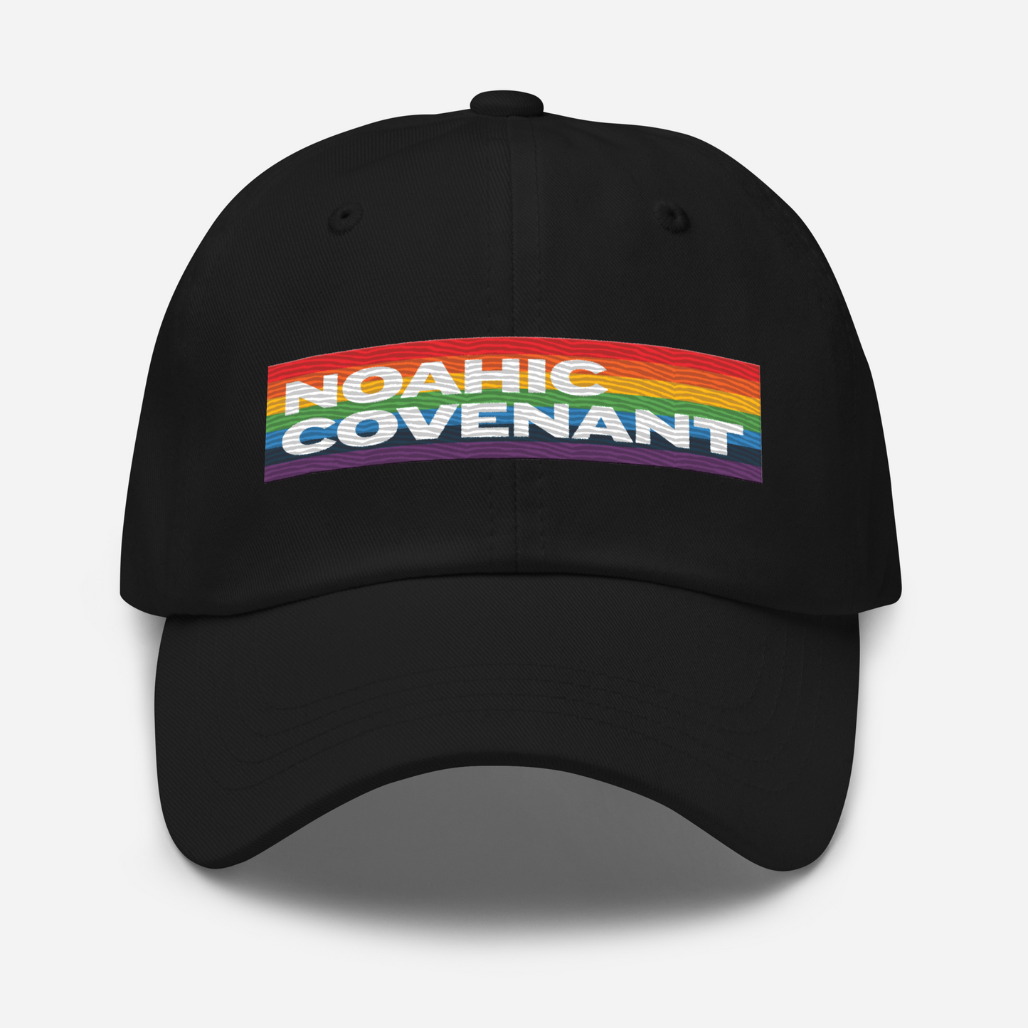 Noahic Covenant Baseball Hat