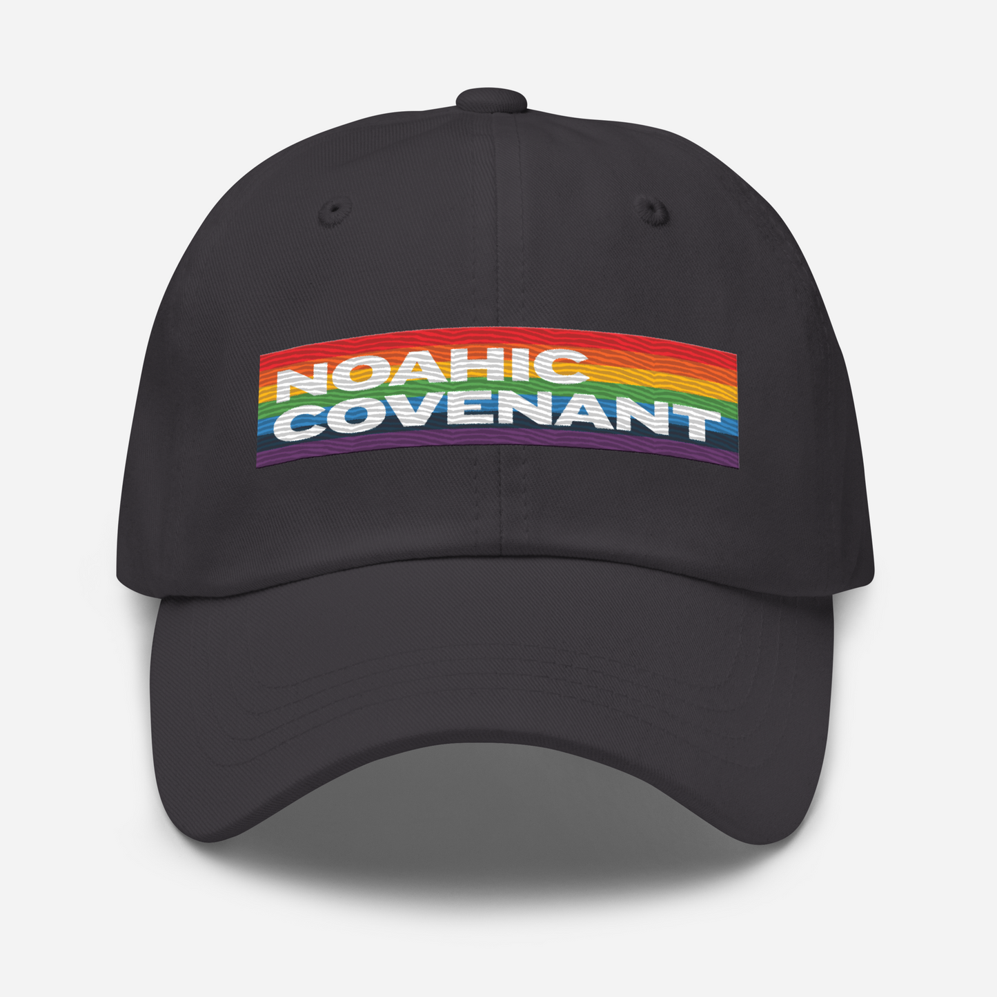 Noahic Covenant Baseball Hat