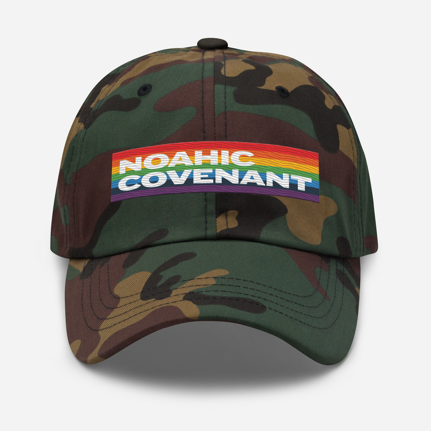 Noahic Covenant Baseball Hat