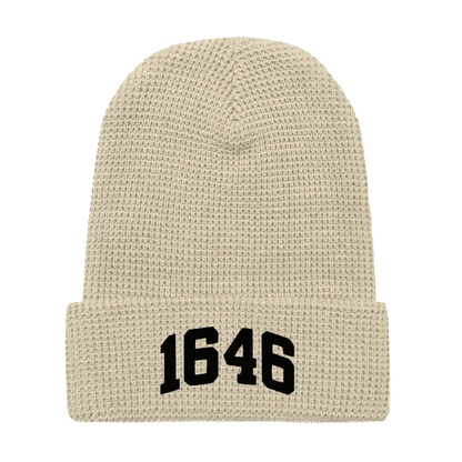 1646 Beanie