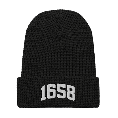 1658 Beanie