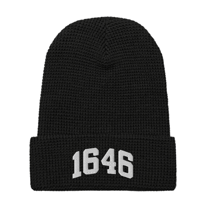 1646 Beanie