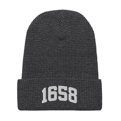 1658 Beanie