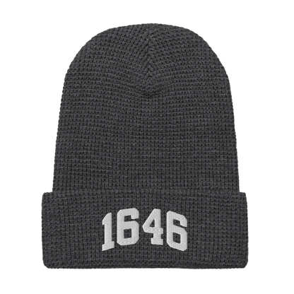 1646 Beanie