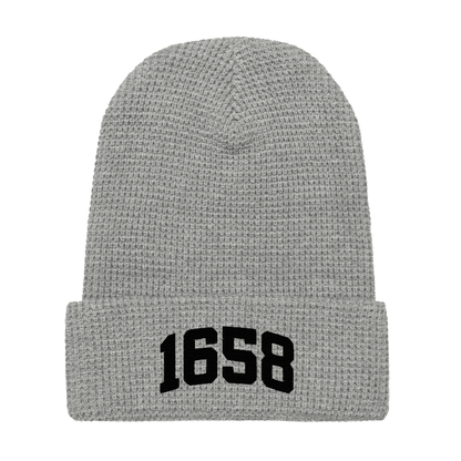 1658 Beanie