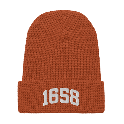 1658 Beanie