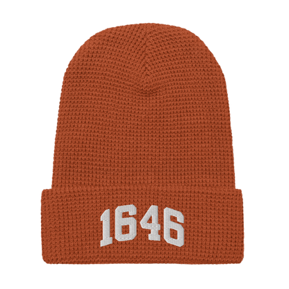 1646 Beanie